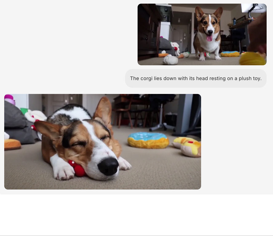 Bilder bearbeiten mit Bagel